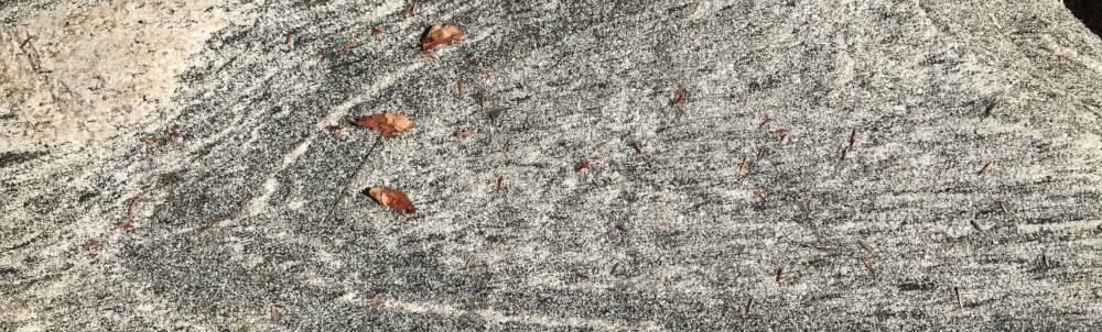 A dried leaf lays calmly on an exposed granite rock face in Muskoka, Ontario.
